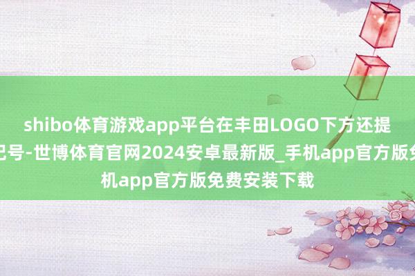 shibo体育游戏app平台在丰田LOGO下方还提供品牌字母记号-世博体育官网2024安卓最新版_手机app官方版免费安装下载