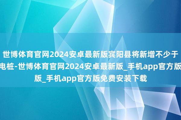 世博体育官网2024安卓最新版宾阳县将新增不少于100个以上充电桩-世博体育官网2024安卓最新版_手机app官方版免费安装下载