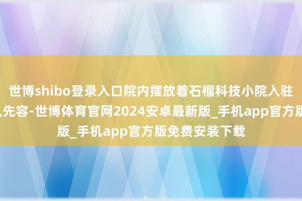 世博shibo登录入口院内摆放着石榴科技小院入驻的6个众人团队先容-世博体育官网2024安卓最新版_手机app官方版免费安装下载