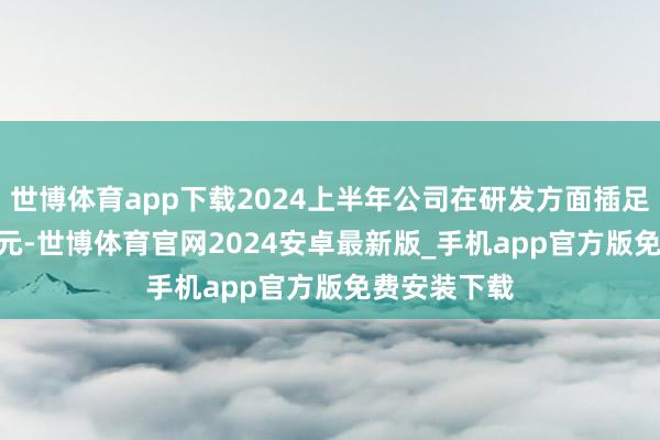 世博体育app下载2024上半年公司在研发方面插足了14.73亿元-世博体育官网2024安卓最新版_手机app官方版免费安装下载