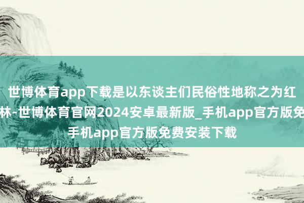 世博体育app下载是以东谈主们民俗性地称之为红树林或红杉林-世博体育官网2024安卓最新版_手机app官方版免费安装下载