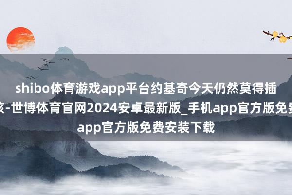 shibo体育游戏app平台约基奇今天仍然莫得插足球队考核-世博体育官网2024安卓最新版_手机app官方版免费安装下载