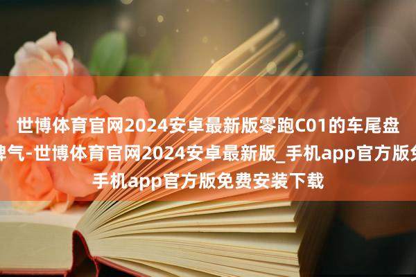 世博体育官网2024安卓最新版零跑C01的车尾盘算相通宽裕脾气-世博体育官网2024安卓最新版_手机app官方版免费安装下载
