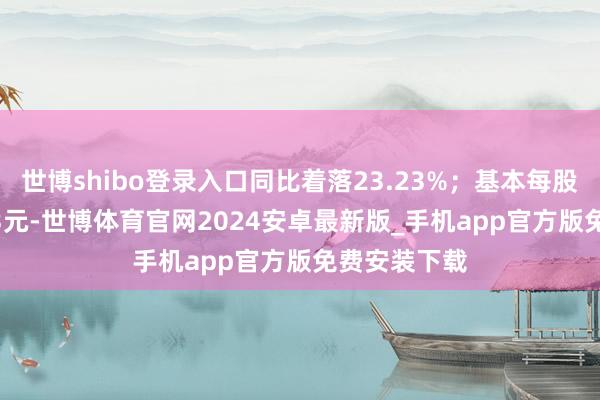 世博shibo登录入口同比着落23.23%；基本每股收益0.0513元-世博体育官网2024安卓最新版_手机app官方版免费安装下载