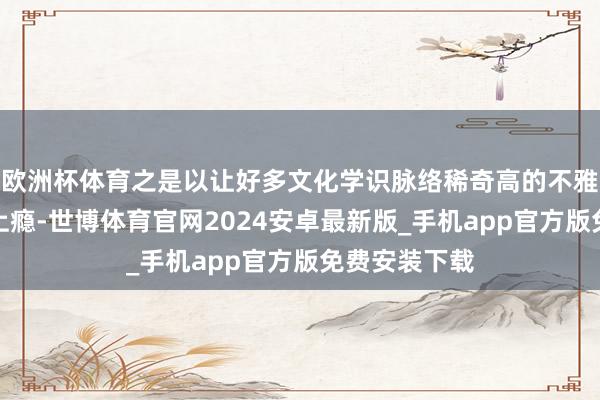 欧洲杯体育之是以让好多文化学识脉络稀奇高的不雅众们追起来上瘾-世博体育官网2024安卓最新版_手机app官方版免费安装下载