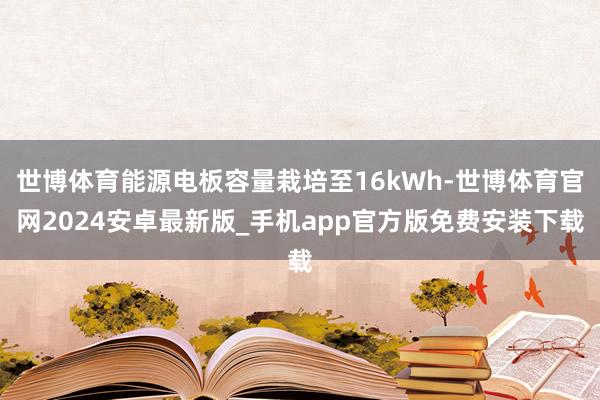 世博体育能源电板容量栽培至16kWh-世博体育官网2024安卓最新版_手机app官方版免费安装下载