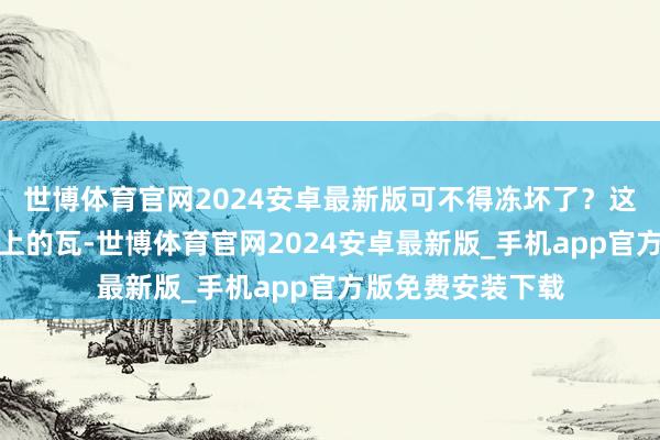 世博体育官网2024安卓最新版可不得冻坏了？这外衣就像那房顶上的瓦-世博体育官网2024安卓最新版_手机app官方版免费安装下载