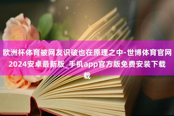 欧洲杯体育被网友识破也在原理之中-世博体育官网2024安卓最新版_手机app官方版免费安装下载