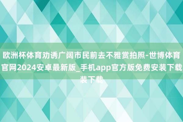 欧洲杯体育劝诱广阔市民前去不雅赏拍照-世博体育官网2024安卓最新版_手机app官方版免费安装下载