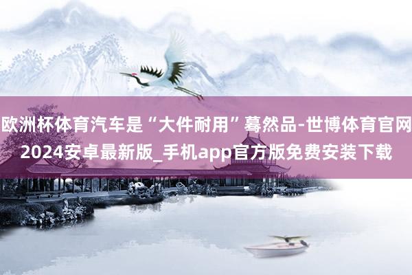 欧洲杯体育汽车是“大件耐用”蓦然品-世博体育官网2024安卓最新版_手机app官方版免费安装下载