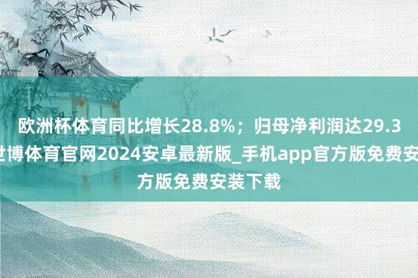 欧洲杯体育同比增长28.8%；归母净利润达29.3亿元-世博体育官网2024安卓最新版_手机app官方版免费安装下载