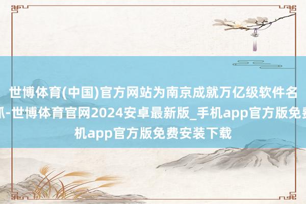世博体育(中国)官方网站为南京成就万亿级软件名城提供撑抓-世博体育官网2024安卓最新版_手机app官方版免费安装下载