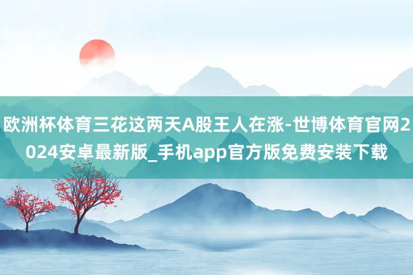 欧洲杯体育三花这两天A股王人在涨-世博体育官网2024安卓最新版_手机app官方版免费安装下载