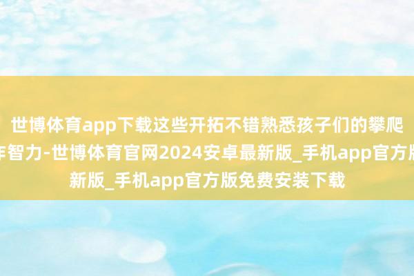 世博体育app下载这些开拓不错熟悉孩子们的攀爬智力和看成合作智力-世博体育官网2024安卓最新版_手机app官方版免费安装下载