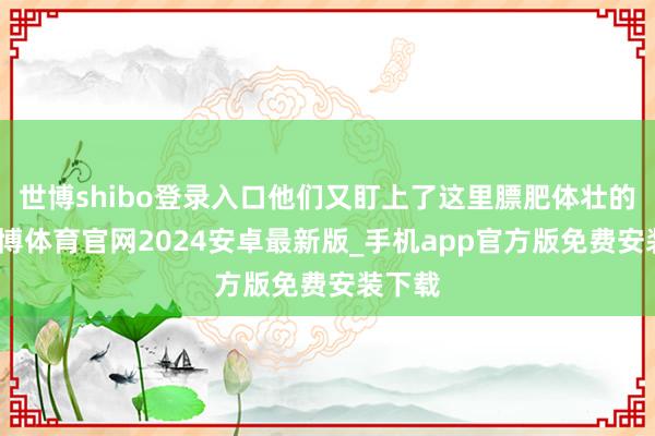 世博shibo登录入口他们又盯上了这里膘肥体壮的马-世博体育官网2024安卓最新版_手机app官方版免费安装下载
