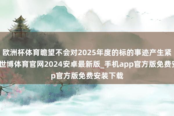 欧洲杯体育瞻望不会对2025年度的标的事迹产生紧要影响-世博体育官网2024安卓最新版_手机app官方版免费安装下载