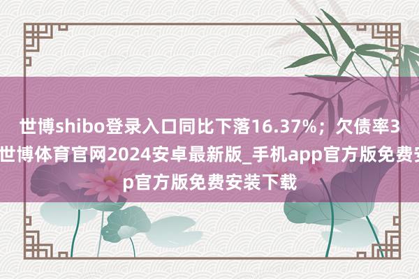 世博shibo登录入口同比下落16.37%;欠债率33.05%-世博体育官网2024安卓最新版_手机app官方版免费安装下载