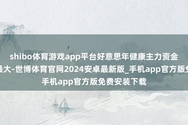 shibo体育游戏app平台好意思年健康主力资金净流入金额最大-世博体育官网2024安卓最新版_手机app官方版免费安装下载