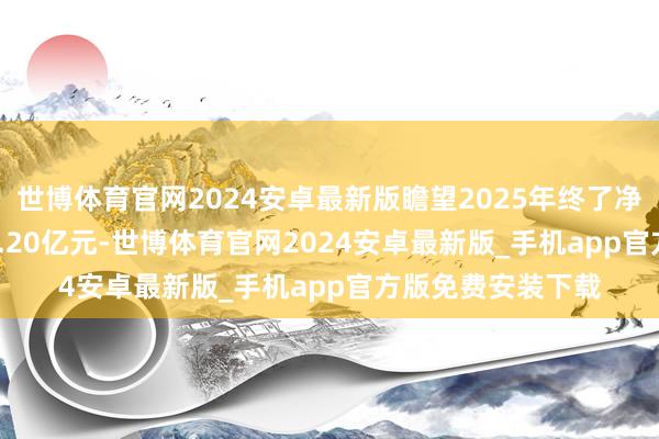 世博体育官网2024安卓最新版瞻望2025年终了净利润2.80亿元—3.20亿元-世博体育官网2024安卓最新版_手机app官方版免费安装下载