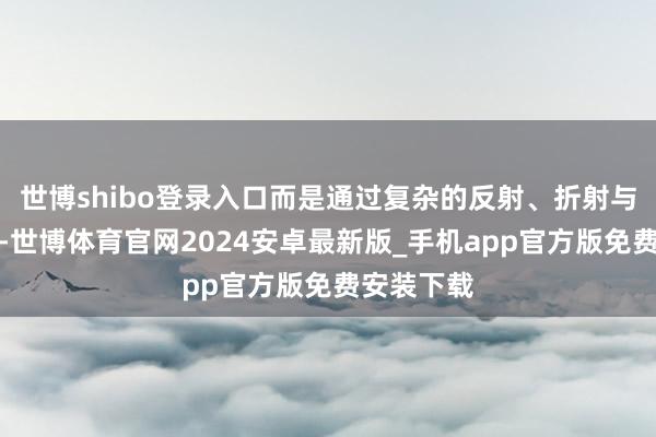 世博shibo登录入口而是通过复杂的反射、折射与全局光照-世博体育官网2024安卓最新版_手机app官方版免费安装下载