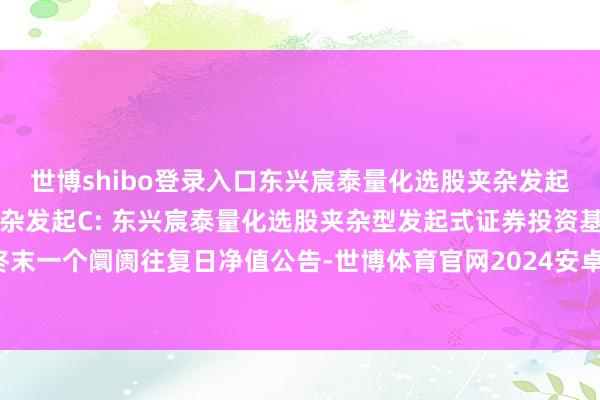 世博shibo登录入口东兴宸泰量化选股夹杂发起A,东兴宸泰量化选股夹杂发起C: 东兴宸泰量化选股夹杂型发起式证券投资基金年度终末一个阛阓往复日净值公告-世博体育官网2024安卓最新版_手机app官方版免费安装下载