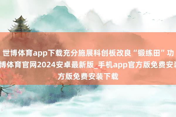 世博体育app下载充分施展科创板改良“锻练田”功能-世博体育官网2024安卓最新版_手机app官方版免费安装下载