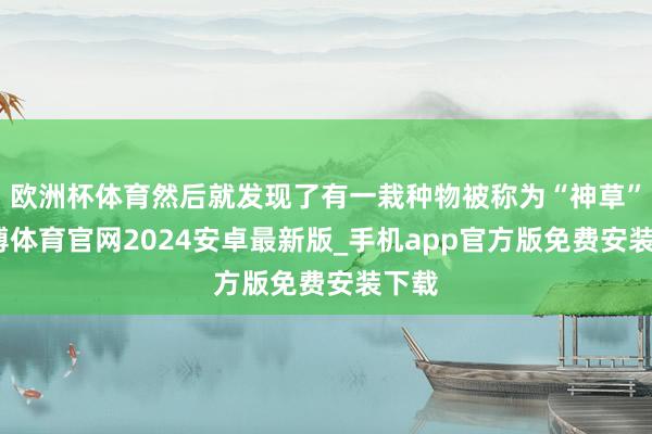 欧洲杯体育然后就发现了有一栽种物被称为“神草”-世博体育官网2024安卓最新版_手机app官方版免费安装下载