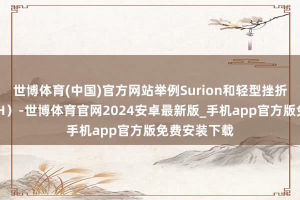 世博体育(中国)官方网站举例Surion和轻型挫折直升机（LAH）-世博体育官网2024安卓最新版_手机app官方版免费安装下载