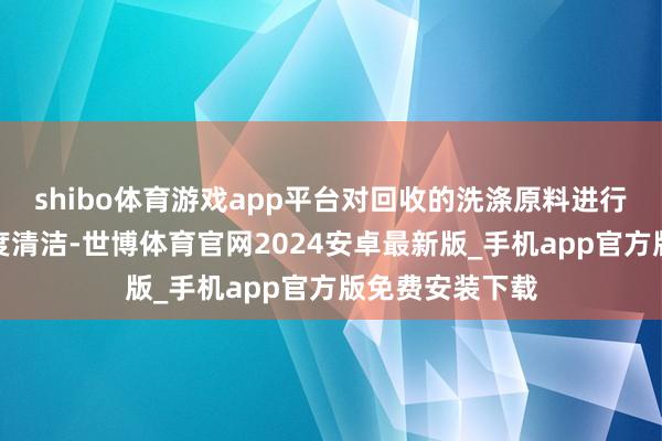 shibo体育游戏app平台对回收的洗涤原料进行邃密分类与深度清洁-世博体育官网2024安卓最新版_手机app官方版免费安装下载