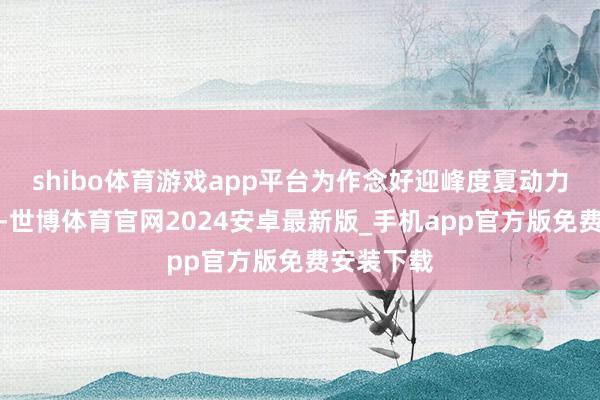 shibo体育游戏app平台为作念好迎峰度夏动力保险职责-世博体育官网2024安卓最新版_手机app官方版免费安装下载