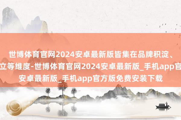 世博体育官网2024安卓最新版皆集在品牌积淀、机械修养和豪华确立等维度-世博体育官网2024安卓最新版_手机app官方版免费安装下载