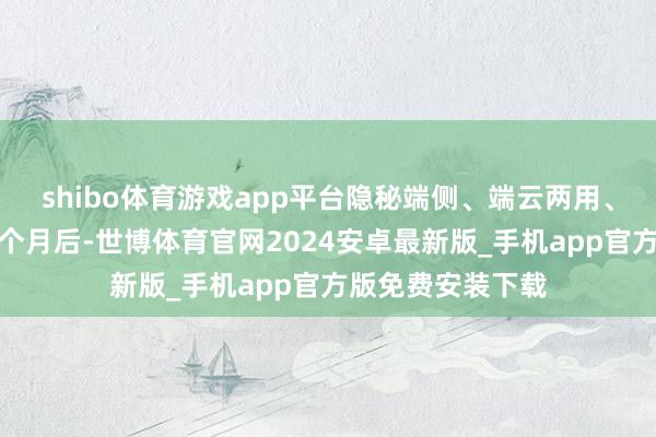 shibo体育游戏app平台隐秘端侧、端云两用、云霄全场景;半个月后-世博体育官网2024安卓最新版_手机app官方版免费安装下载