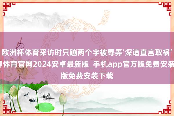 欧洲杯体育采访时只蹦两个字被辱弄‘深谙直言取祸’-世博体育官网2024安卓最新版_手机app官方版免费安装下载