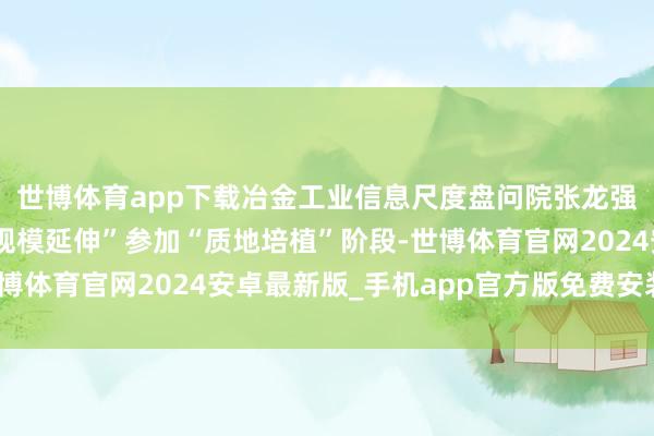 世博体育app下载冶金工业信息尺度盘问院张龙强：石墨烯产业正从“规模延伸”参加“质地培植”阶段-世博体育官网2024安卓最新版_手机app官方版免费安装下载