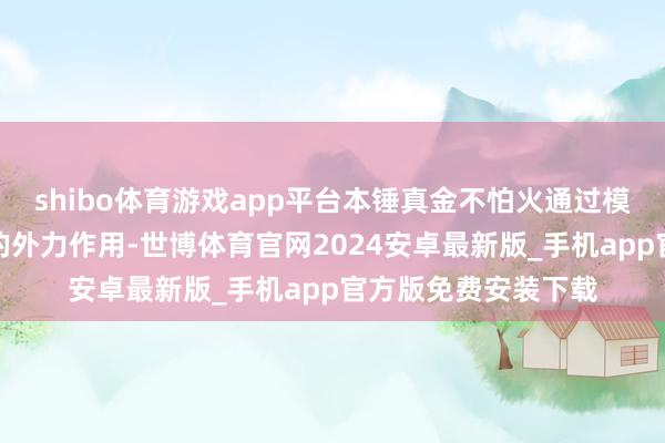 shibo体育游戏app平台本锤真金不怕火通过模拟骨子使用流程中的外力作用-世博体育官网2024安卓最新版_手机app官方版免费安装下载
