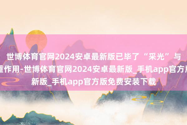 世博体育官网2024安卓最新版已毕了 “采光” 与 “排烟” 的双重作用-世博体育官网2024安卓最新版_手机app官方版免费安装下载